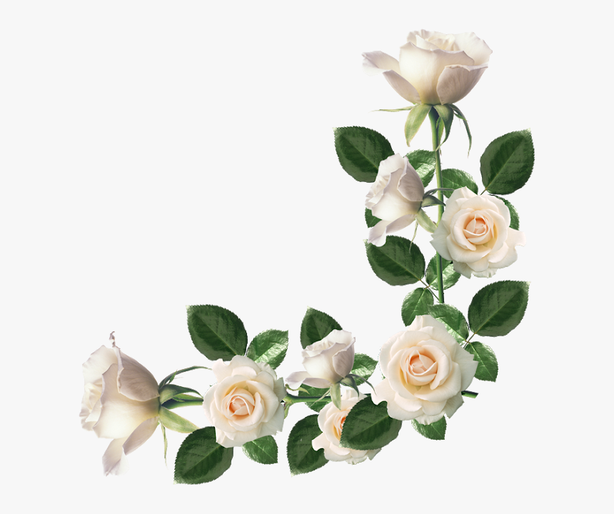 Ramo De Rosas Png - Marco De Rosas Blancas, Png Download - kindpng