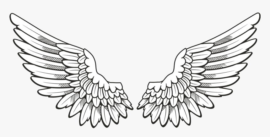 Wings Png - Angel Wings Drawing Png, Transparent Png, Free Download