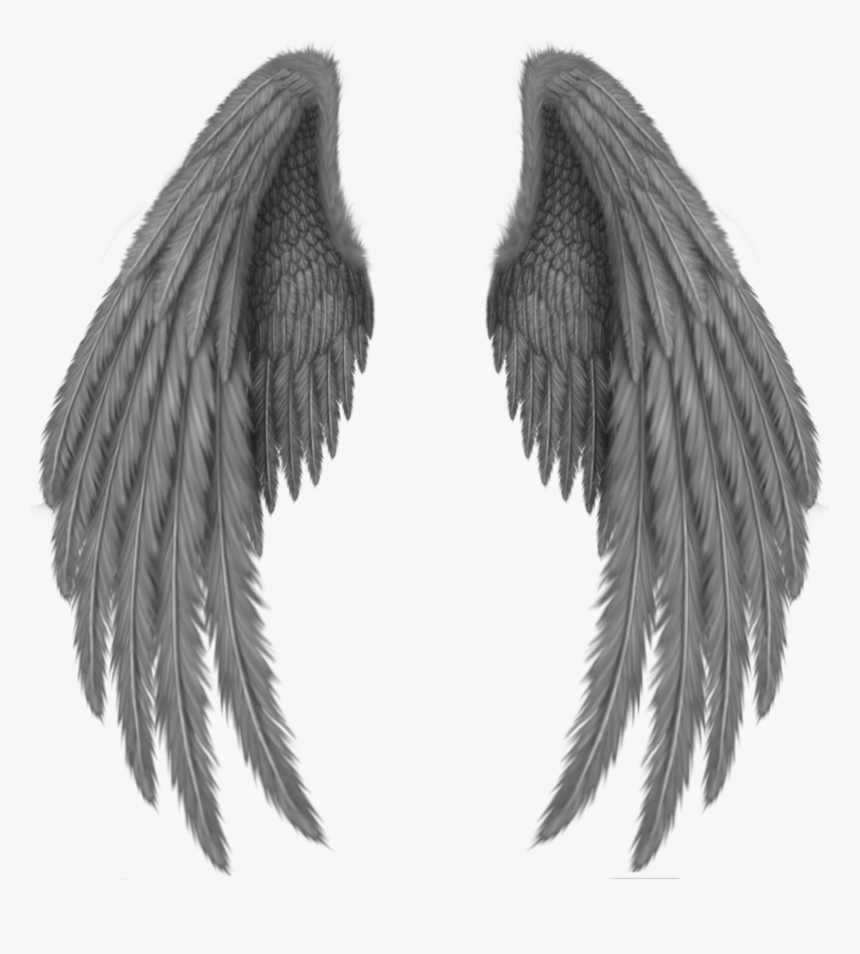 Black Wings Png - Picsart Wing, Transparent Png, Free Download