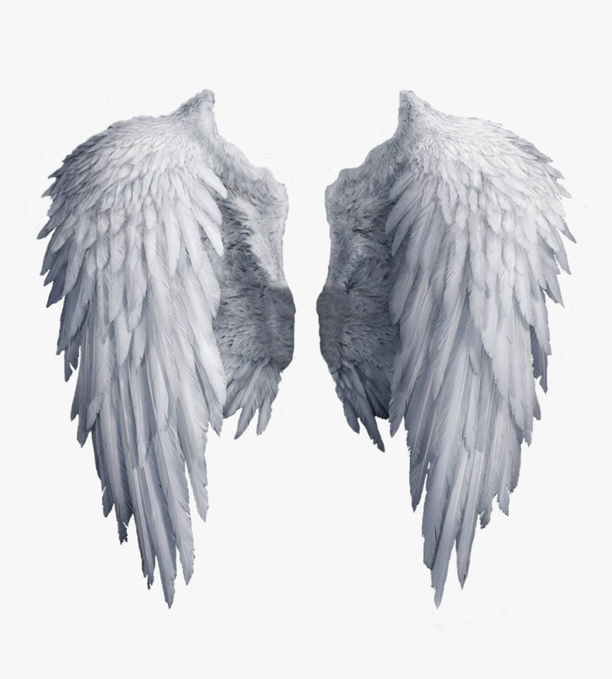 White Angel Wings Png - White Angel Wings Transparent Background, Png Download, Free Download