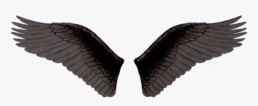 Wings Png - Крылья Png Для Фотошопа, Transparent Png, Free Download