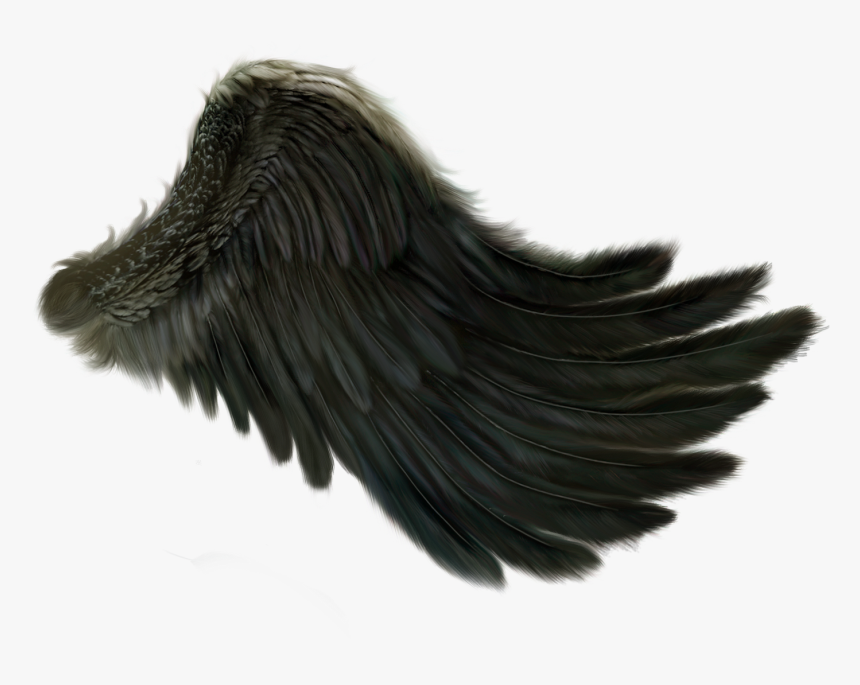 Check This Amateur Cara Menambahkan Sayap Pada Foto - Side View Angel Wings Png, Transparent Png, Free Download