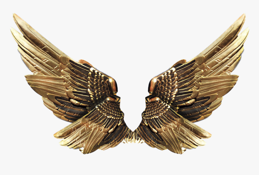Wings, Gold, Fly - Transparent Background Metal Wings, HD Png Download, Free Download