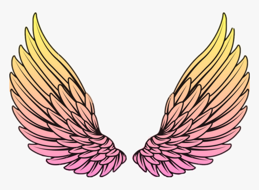 #wings #wing #sayap #yellow #pink #orange - Angel Wings Vector Png, Transparent Png, Free Download