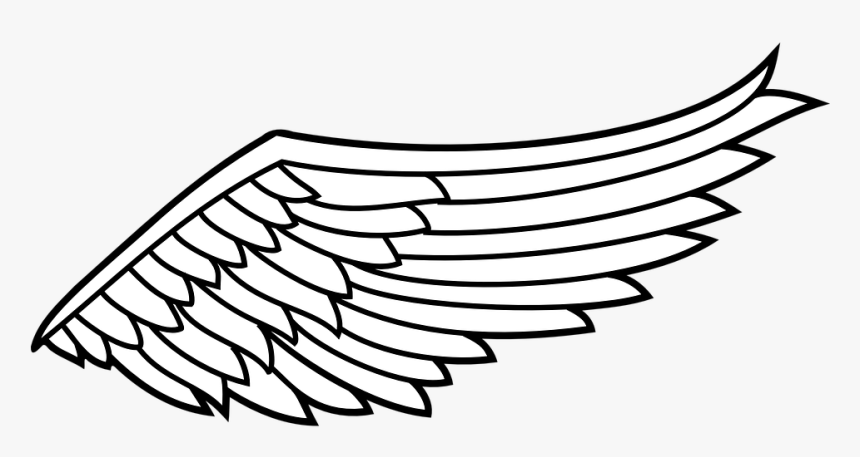 Wing, Flight, Angel, Spiritual, Flying, Spirituality - Transparent Right Angel Wing, HD Png Download, Free Download