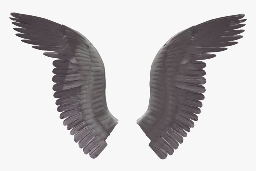 Wings Png - Eagle Wings No Background, Transparent Png, Free Download