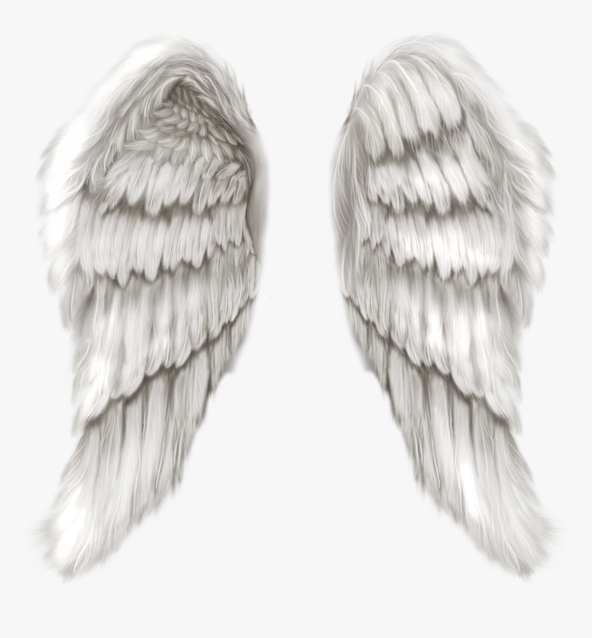 Angel Clip Art - Realistic Angel Wings Png, Transparent Png, Free Download