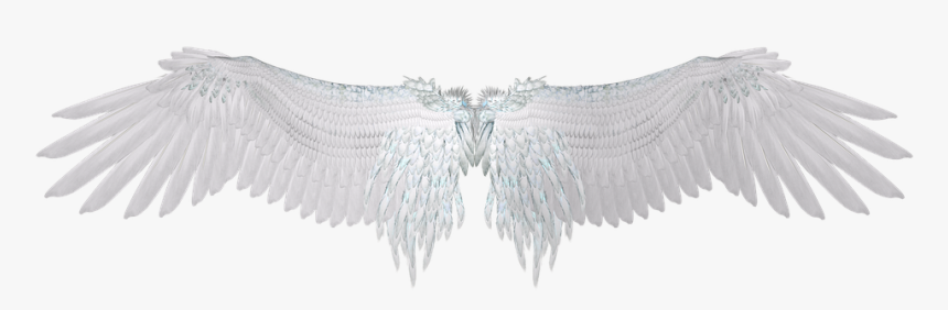 Sayap, Putih, Bulu, Sayap Malaikat - Dark Angel Wings Png, Transparent Png, Free Download