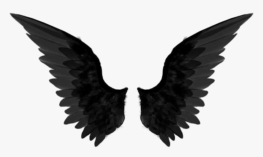 Png Images Gallery - Black Angel Wings Png, Transparent Png, Free Download