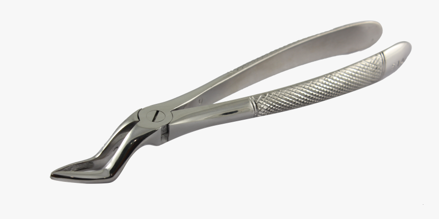 Transparent Dental Instruments Png - Bayonet Forceps Dental Use, Png Download, Free Download