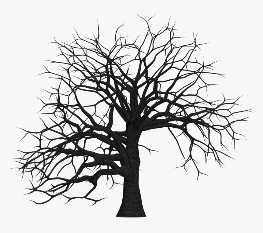 Dead Trees Clip Art, HD Png Download, Free Download