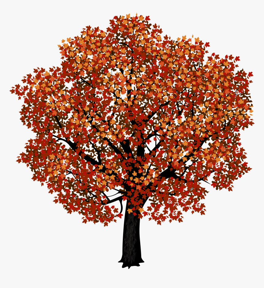 Japanese Maple Tree Clipart, HD Png Download, Free Download