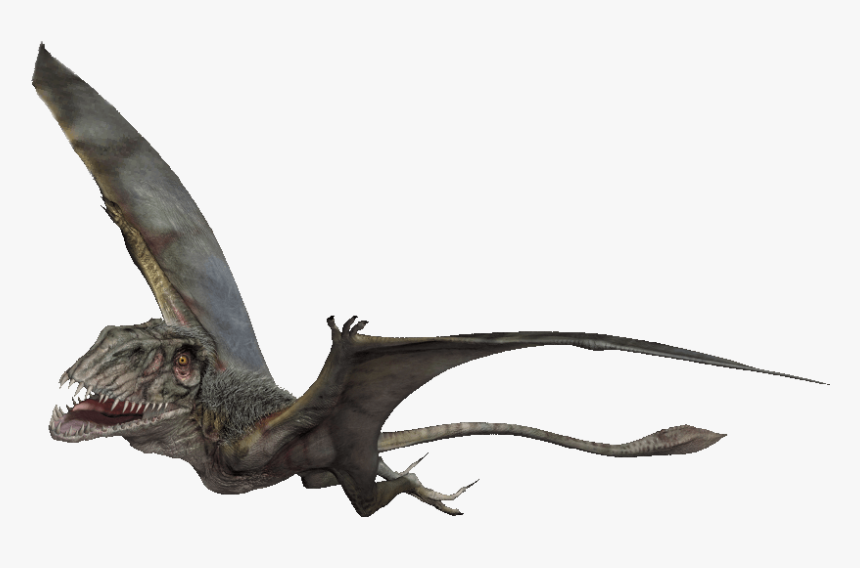 Jurassic World Dimorphodon, HD Png Download, Free Download