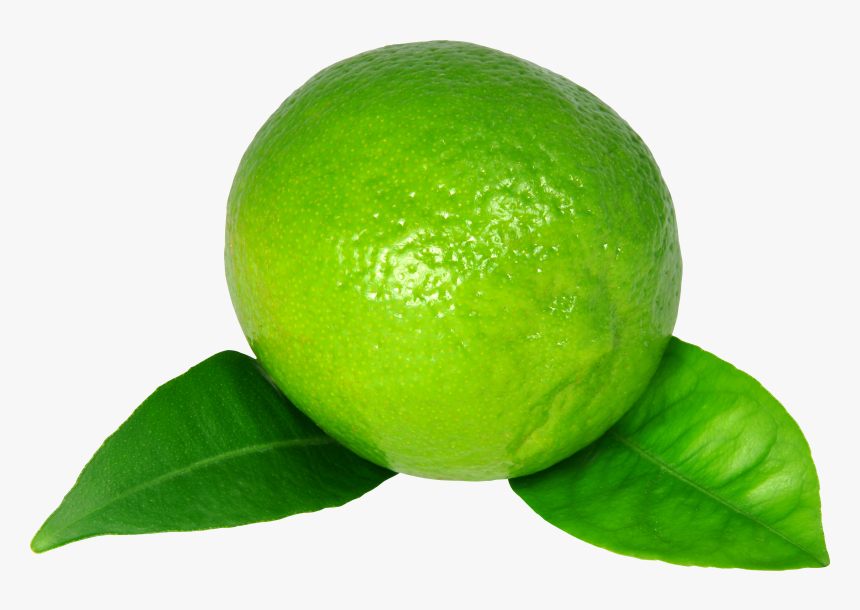 Lime Png Image - Green Lemon High Resolution, Transparent Png, Free Download