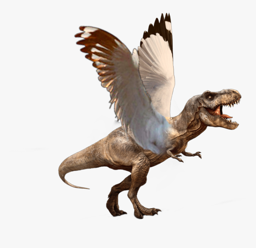 #ftestickers #dinosaur #flying #fly #animal #wildlife - Flying Dinosaur, HD Png Download, Free Download