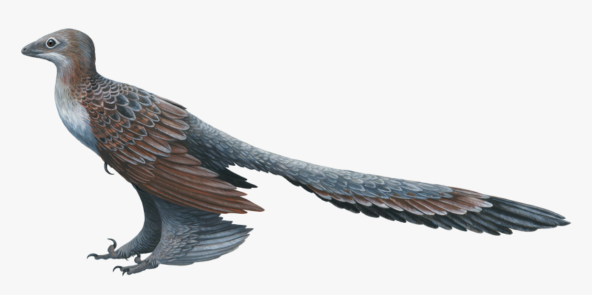 Winged Dinosaur, HD Png Download, Free Download