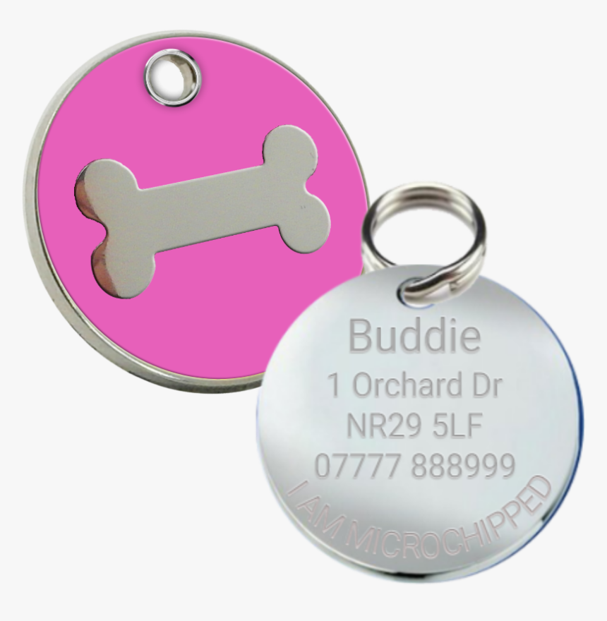 Transparent Dog Name Tag, HD Png Download, Free Download