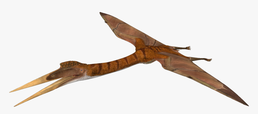 The Isle Wikia - Isle Quetzalcoatlus, HD Png Download, Free Download