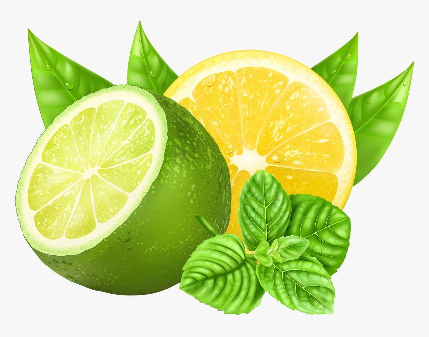 Transparent Lemon Slice Png - Lemon And Lime Vector, Png Download, Free Download