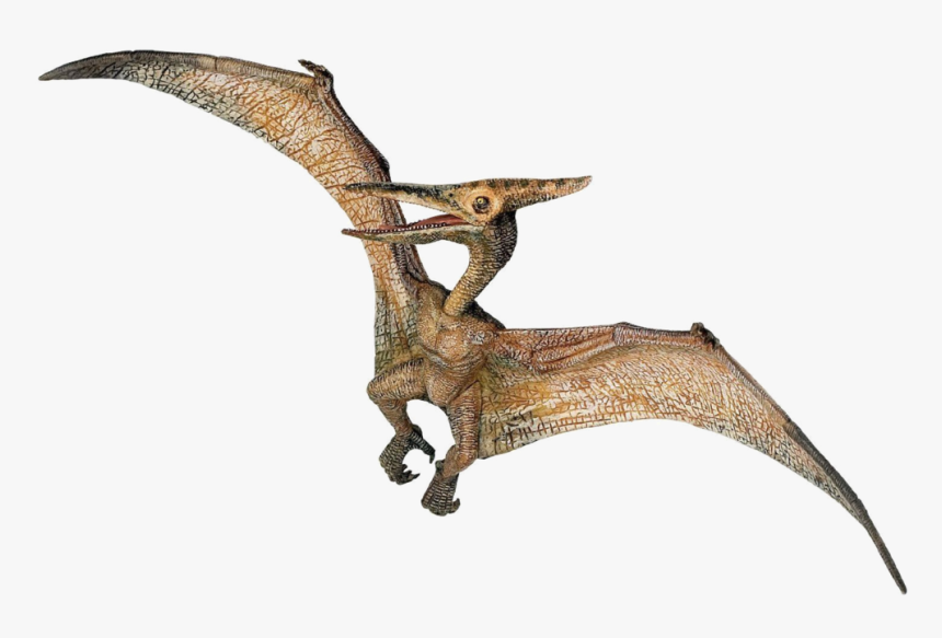 Transparent Jurassic Park Png - Jurassic Park Dinosaur Pterodactyl, Png Download, Free Download