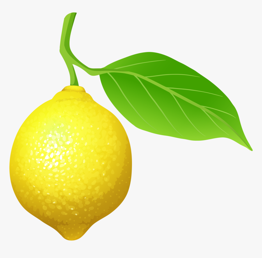 Lemon Png Clip Art - Clip Art Of Lemon, Transparent Png, Free Download