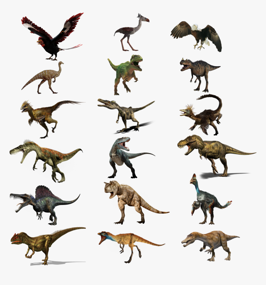 Theropoda - Dinopedia - Flying Theropods, HD Png Download, Free Download