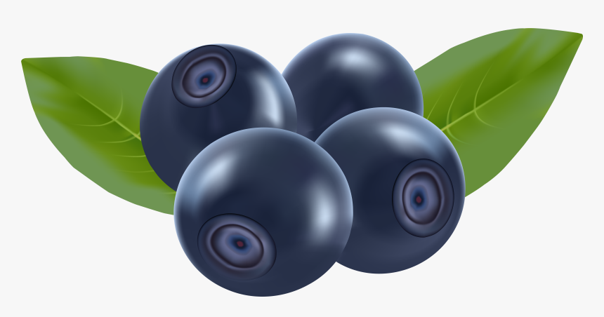 Blueberries Png Clip Art - Transparent Background Blueberry Clipart, Png Download, Free Download