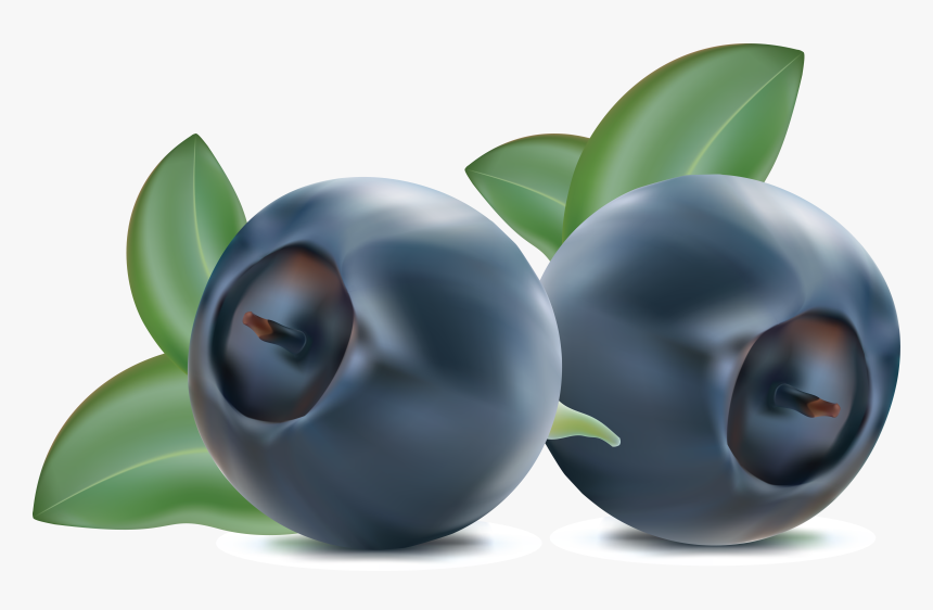 Blueberries Png - Clip Art Blueberry Png, Transparent Png, Free Download