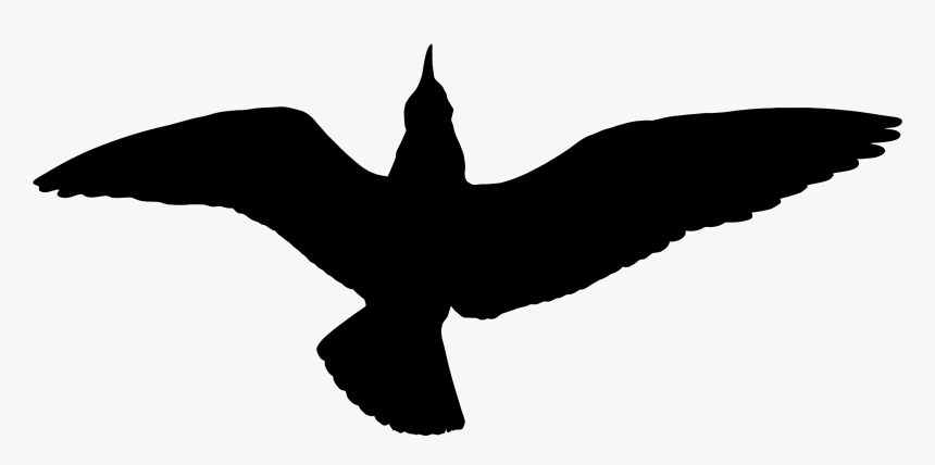 Seagull Silhouette Png - Cartoon Seagulls Silhouette Png, Transparent Png, Free Download