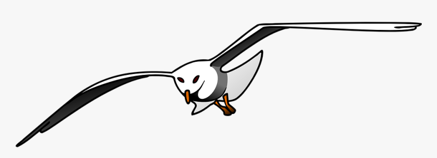 Bird, Seagull, Flying, Wings, Flight, Flap, Fly - Seagull Clipart, HD Png Download, Free Download