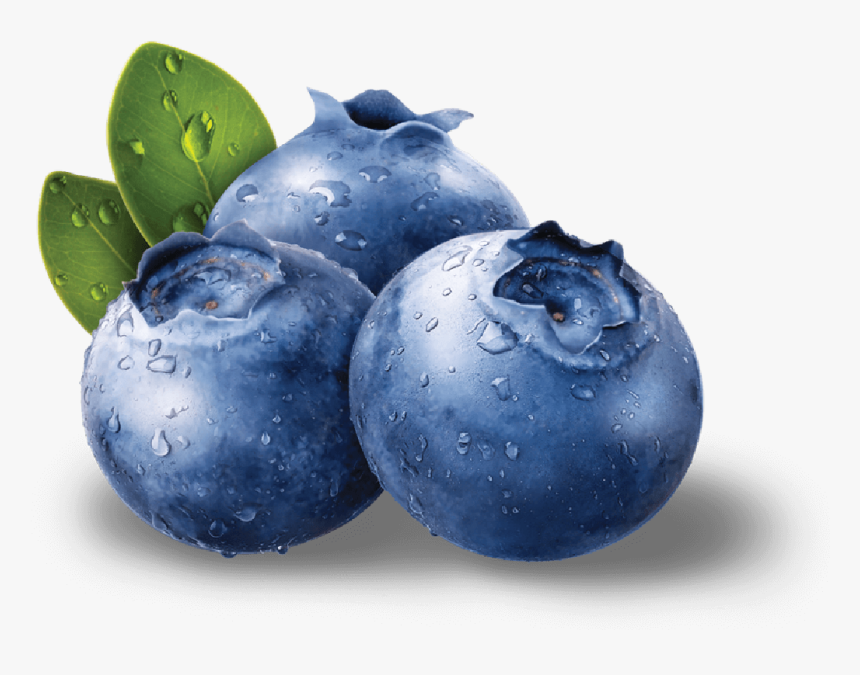 Blueberries Png - Blueberry Fruit, Transparent Png, Free Download