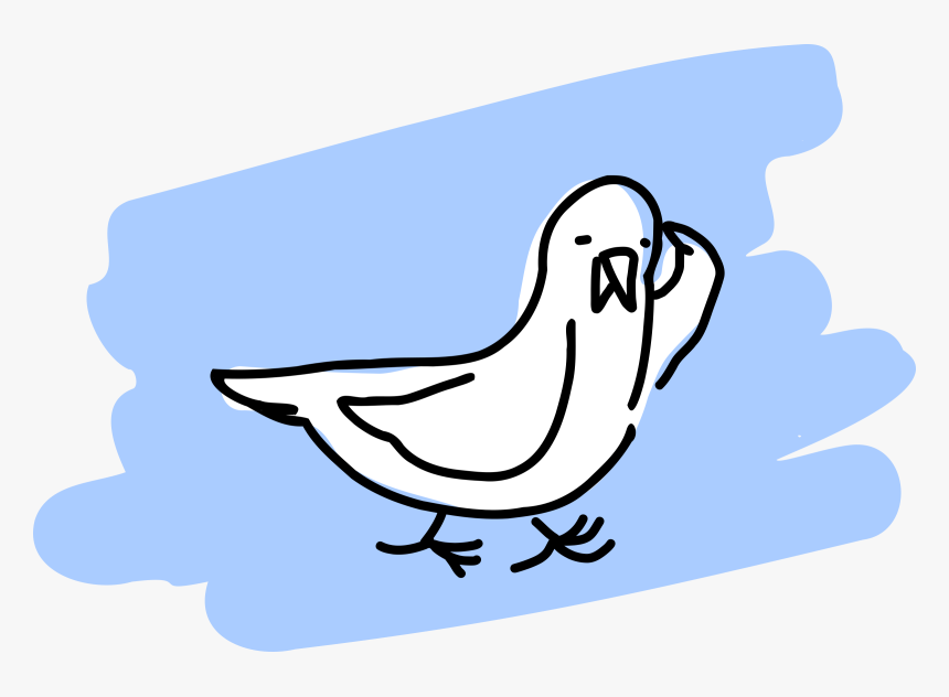 Transparent Seagull Flying Png - Gulls, Png Download, Free Download