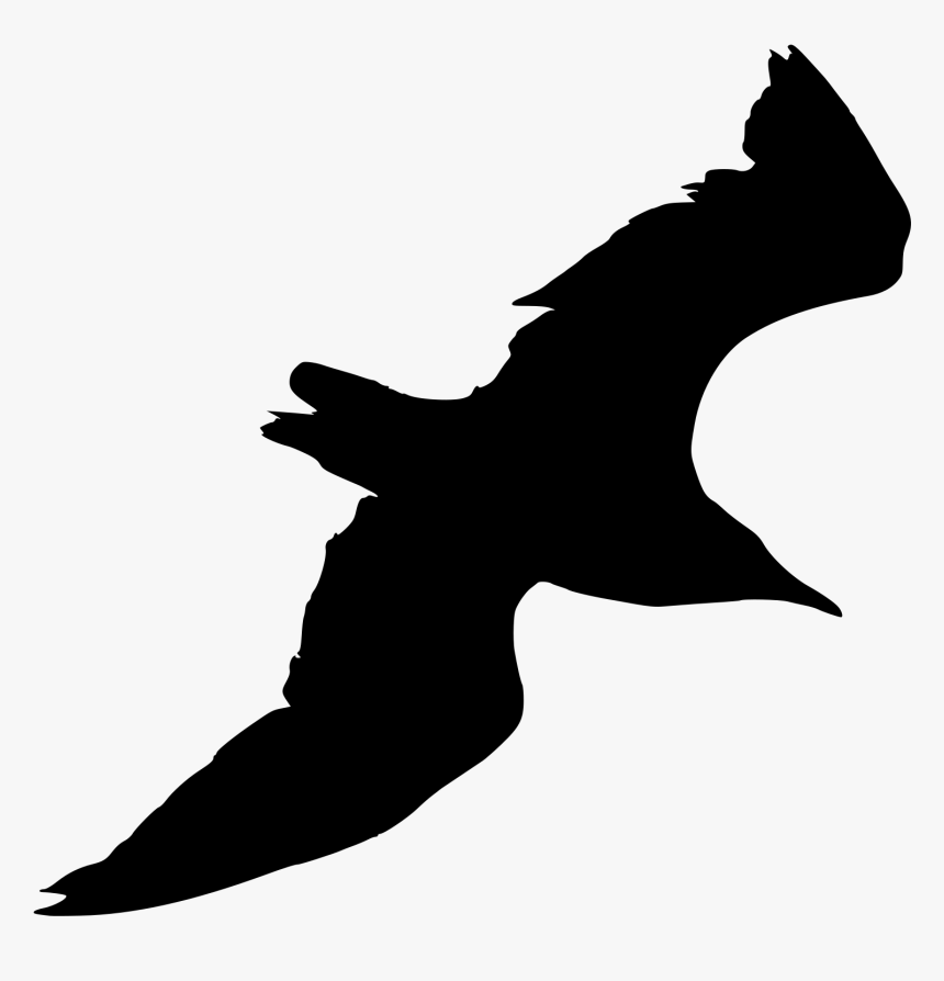 Silhouette Seagull Png Birds, Transparent Png, Free Download