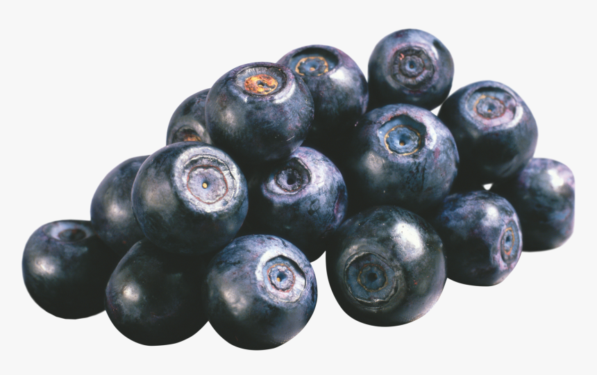 Now You Can Download Blueberries Icon Clipart - Blueberry Blackcurrant, HD Png Download, Free Download