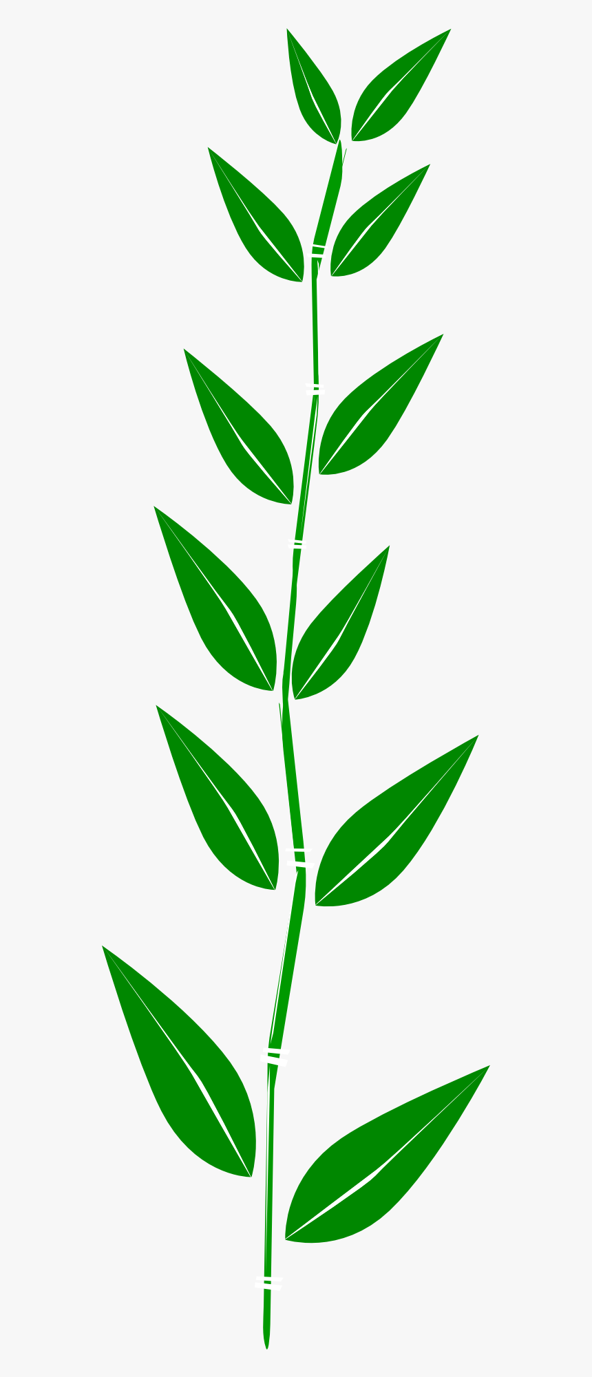 Leaf Stem Clipart, HD Png Download, Free Download