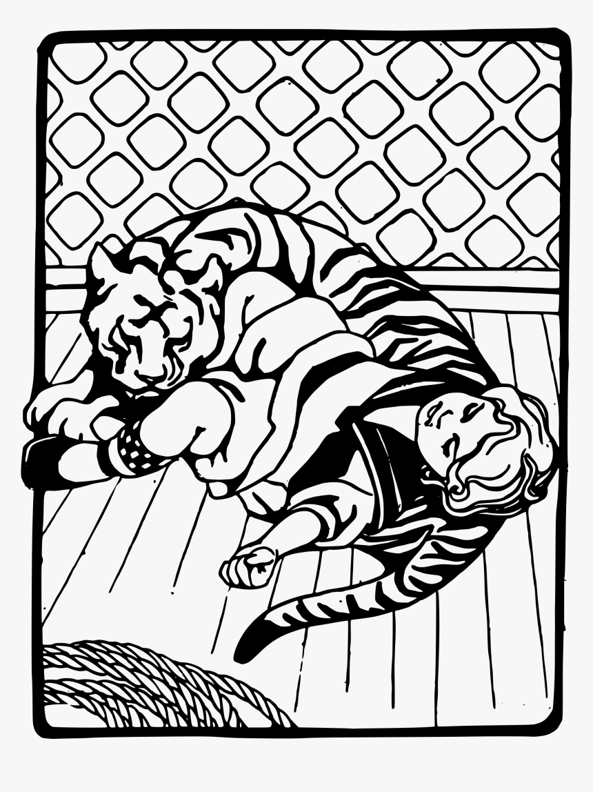 Girl Sleeping With Tiger - Girl Sleeping Tiger, HD Png Download, Free Download
