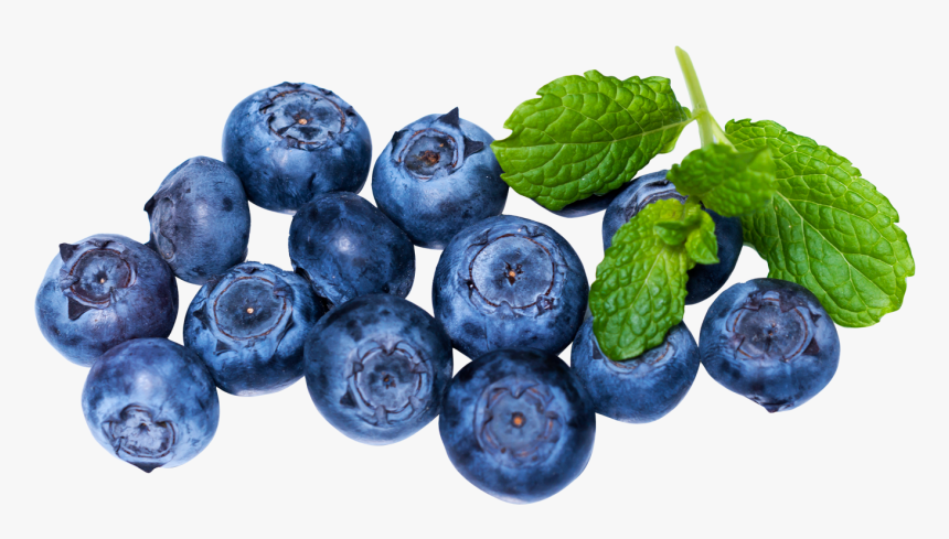 Fresh Blueberries Png Image - Blueberry Hd Transparent, Png Download, Free Download