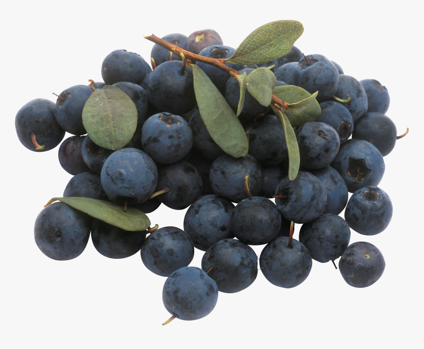 Bunch Of Blueberries, HD Png Download, Free Download