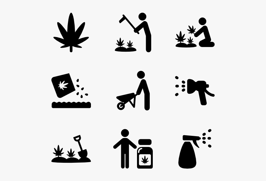 Marijuana, HD Png Download, Free Download