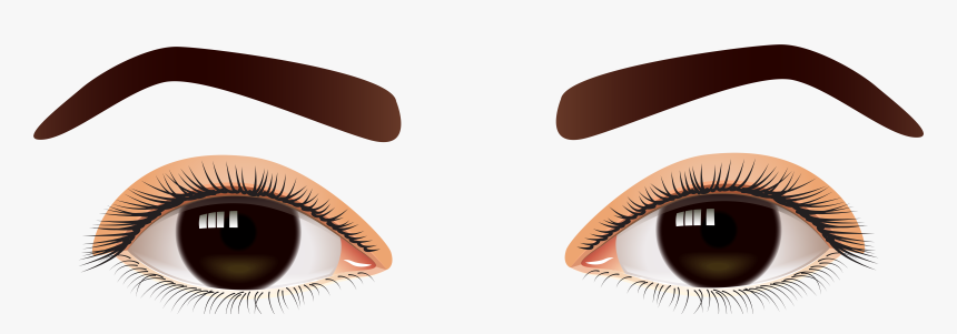 Brown Real And Vector - Transparent Background Human Eye Png, Png Download, Free Download