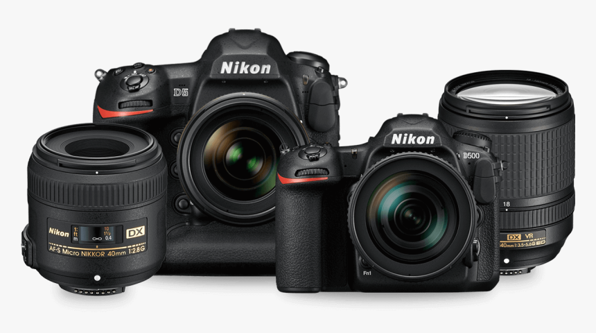 Nikon D5 Vs D3400, HD Png Download, Free Download