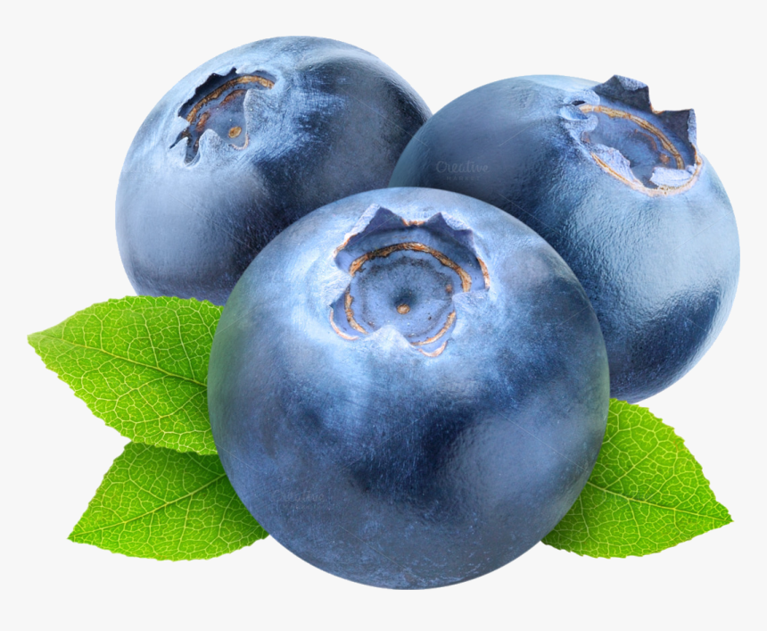 Free Png Blueberries Png Images Transparent - Transparent Background Blueberry Clipart, Png Download, Free Download
