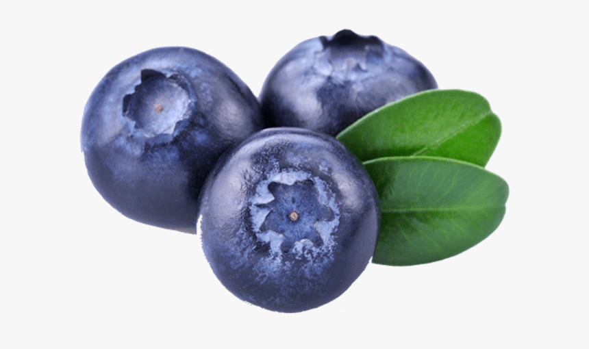 Three Blueberries - Bilberry Png, Transparent Png, Free Download