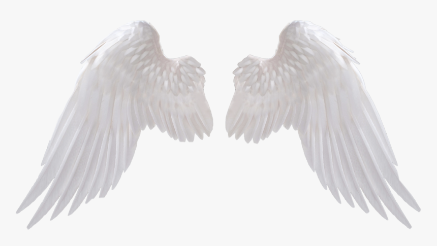 White Wings Png Clipart - Transparent Background Angel Wings Png, Png Download, Free Download