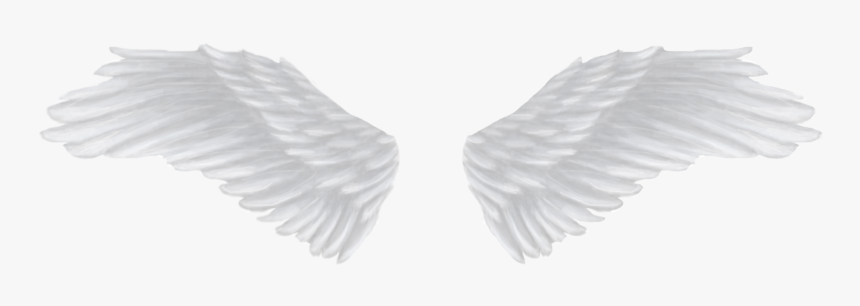 White Angel Wings Png - Wings Png Black Background, Transparent Png, Free Download