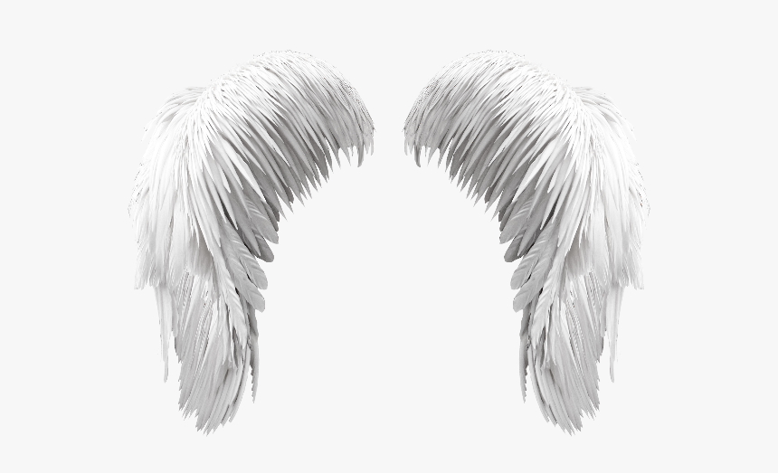 Free White Wings Png - Angel Wings Photoshop Png, Transparent Png, Free Download