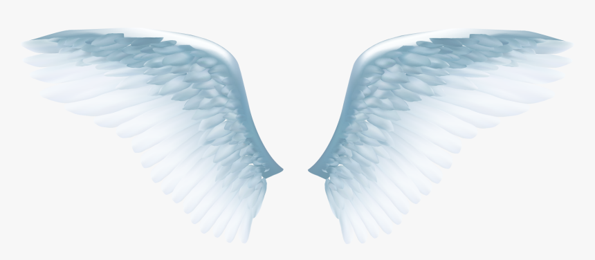 Angel Wing Icon White Angel Wings Png Transparent Png Kindpng