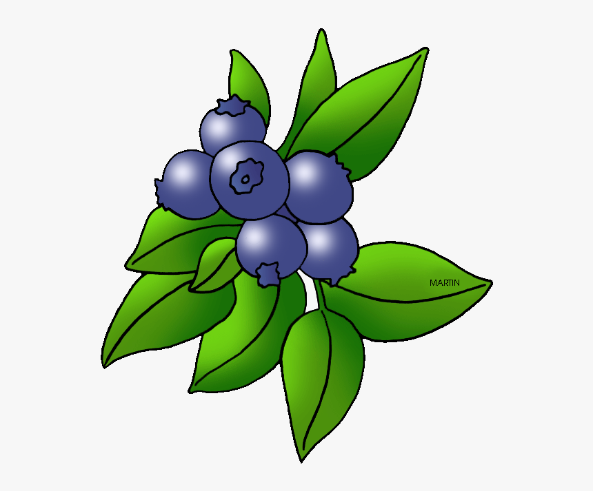 Transparent Single Blueberry Png, Png Download, Free Download