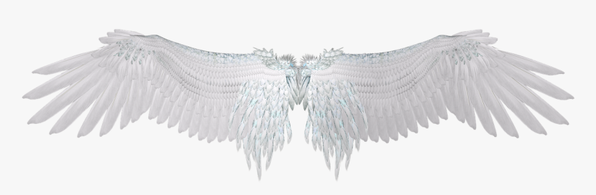 Transparent Wings Png Tumblr - Dark Angel Wings Png, Png Download, Free Download