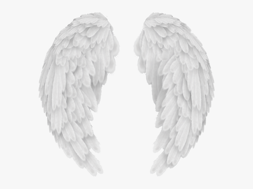 White Angel Wings Png Transparent Image - White Angel Wings Background, Png Download, Free Download